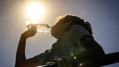 Foto de Dominicos afectados por calor extremo en Estados Unidos