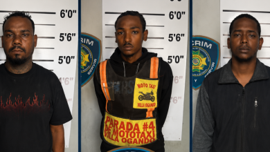 Foto de Apresan a tres acusados de agredir a una señora en SDO