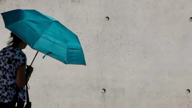 Foto de La ola de calor de junio en Alemania ha matado a más de 4.300 personas, según el Instituto Koch