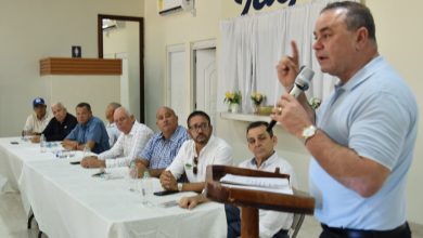 Foto de Agricultura activa estrategia para enfrentar el chinche de la espiga