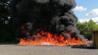 Foto de Autoridades destruyen más de una tonelada de drogas