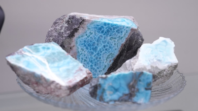 Foto de Energía y Minería confirma que exportación de Larimer no afectará suministro del mercado local – ACN (República Dominicana)
