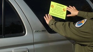 Foto de Más de 500.000 conductores infringen las normas de aparcamiento en Nueva York cada semana