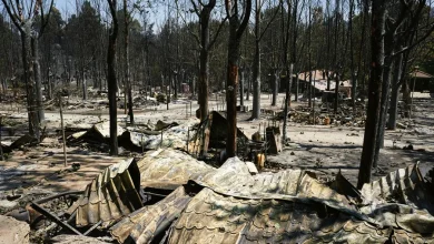 Foto de El incendio de Ávila es el mayor de la historia de España y la situación sigue "complicada".