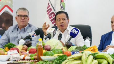 Foto de Quieren una respuesta integral para proteger la producción de mango tras las restricciones de EE.UU. – ACN (República Dominicana)