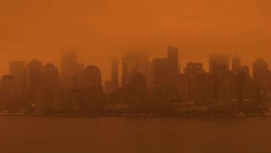 Foto de El humo de los incendios forestales canadienses cubre el área de los tres estados; Los dominicanos en Nueva York están alarmados