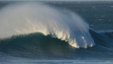 Foto de COE recomienda a operadores de embarcaciones mantenerse en puerto