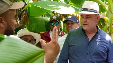 Foto de Agricultura inicia reapertura de PRODEVAJ