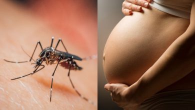 Foto de Reportan reducción de casos de dengue y malaria