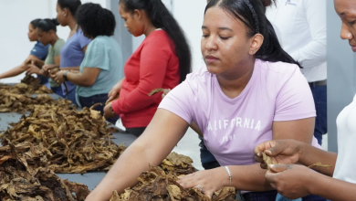Foto de Proindustria fortalece infraestructura a través de obras que incentivan la inversión y la generación de empleo – ACN (República Dominicana)