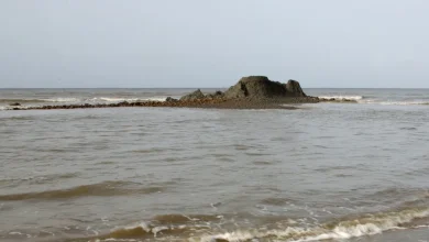 Foto de Los científicos han encontrado volcanes de lodo de Trinidad formados por el terremoto de Venezuela