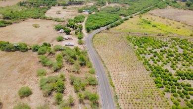 Foto de Abinader inaugura carretera esperada por 60 años en Montecristi
