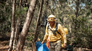 Foto de Medio Ambiente controla en un 99 % incendio forestal en la Sierra