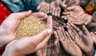 Foto de Naciones Unidas pronostica un "golpe" del fenómeno de El Niño a la seguridad alimentaria en Centroamérica