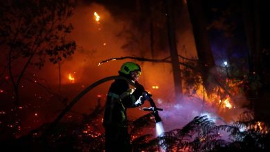 Foto de El incendio en España evoluciona de forma "positiva", pero la situación crítica continúa