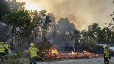 Foto de Francia ha movilizado a 200 bomberos para combatir los incendios forestales en el sur