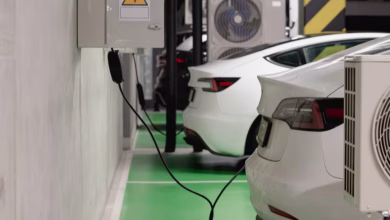 Foto de Por primera vez en Alemania, los vehículos eléctricos se venden con gasolina y diésel. La cuna del coche sólo ha cambiado su combustible.