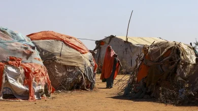 Foto de ONU: El hambre afecta a 645 millones de personas en el mundo, aunque disminuirá en 2025