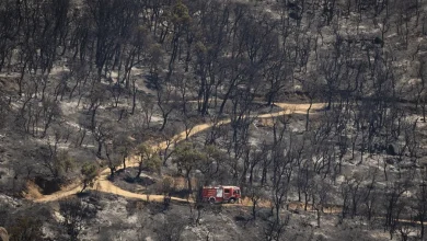 Foto de El incendio sigue amenazando Les Gavres (Girona), donde podría destruir 30.000 hectáreas.