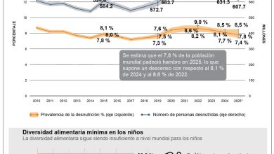 Foto de Afecta a 645 millones del hambre en el mundo