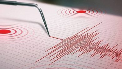 Foto de Un sismo de magnitud 7,4 sacudió el sur de México