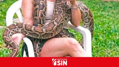 Foto de Buscan una boa de más de tres metros que se escapó de una casa