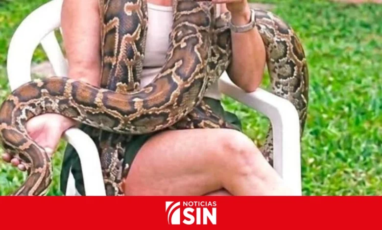Foto de Buscan una boa de más de tres metros que se escapó de una casa