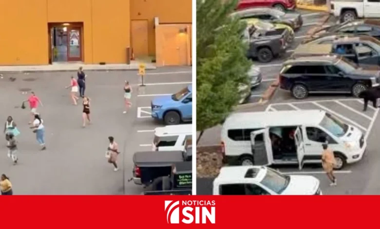 Foto de Los osos negros crean momentos tensos en los estacionamientos de Tennessee