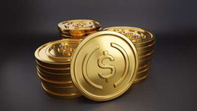 Foto de ¿Qué hace que las mejores soluciones de pago con monedas estables?